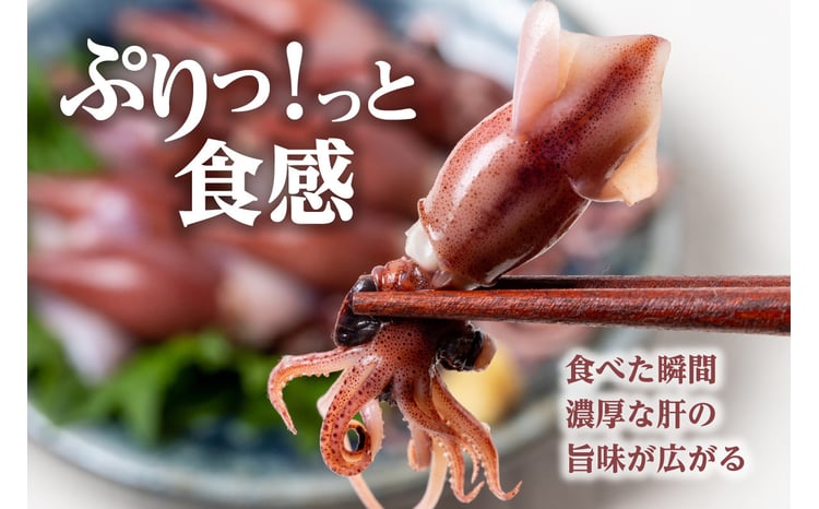 ほたるいか ボイル 小分け 250g×2パック 500g 酢味噌付 冷蔵】【令和8