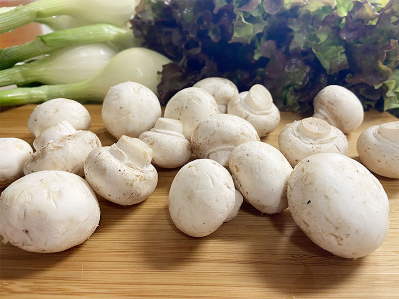 オーダー・販売 - きのこ専門 kinoko-Ten | しいたけ栽培キット販売