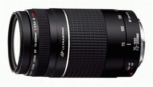 Amazon.co.jp: Canon EFレンズ EF75-300mm F4-5.6 IIIズームレンズ
