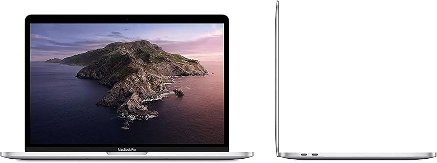 Amazon.com: Apple 13